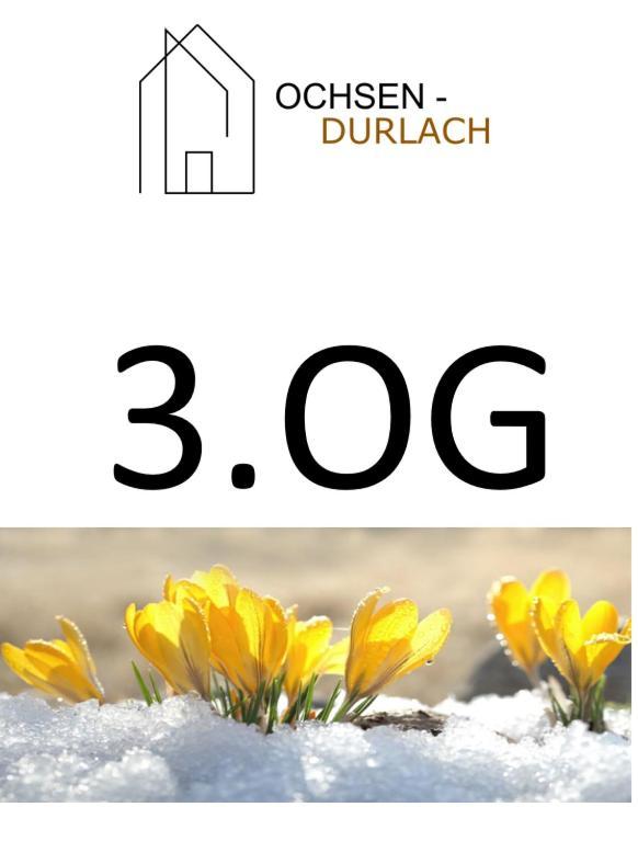 Ochsen-Durlach Karlsruhe Szoba fotó